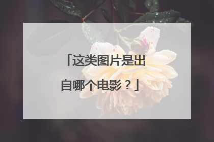 这类图片是出自哪个电影?