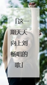 这一期天天向上刘畅唱的歌