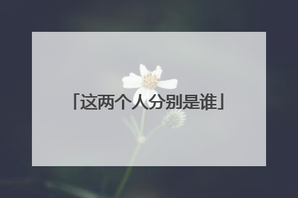 这两个人分别是谁