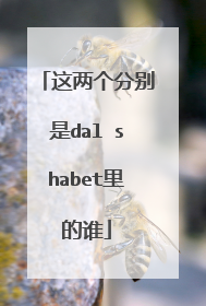 这两个分别是dal shabet里的谁