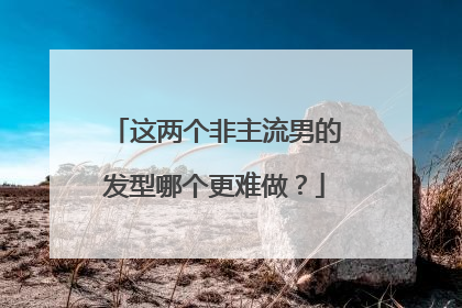 这两个非主流男的发型哪个更难做?