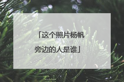 这个照片杨帆旁边的人是谁