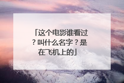 这个电影谁看过?叫什么名字?是在飞机上的