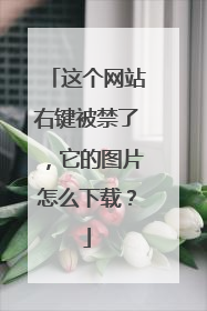 这个网站右键被禁了，它的图片怎么下载？