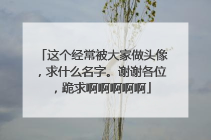 这个经常被大家做头像,求什么名字。谢谢各位,跪求啊啊啊啊啊