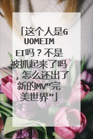 这个人是GUOMEIMEI吗？不是被抓起来了吗，怎么还出了新的MV“完美世界”