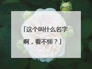 这个叫什么名字啊，看不懂？