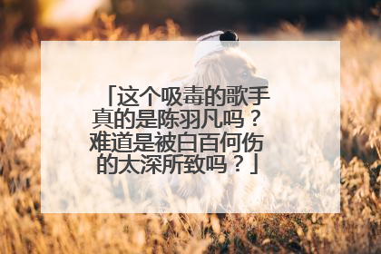 这个吸毒的歌手真的是陈羽凡吗？难道是被白百何伤的太深所致吗？