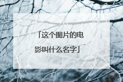 这个图片的电影叫什么名字