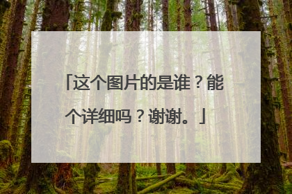 这个图片的是谁？能个详细吗？谢谢。