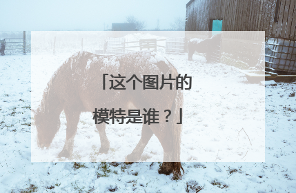 这个图片的模特是谁？