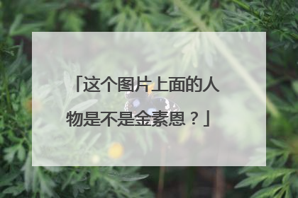 这个图片上面的人物是不是金素恩？