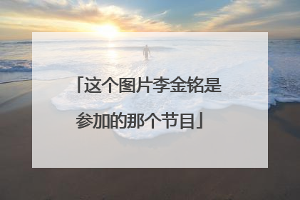 这个图片李金铭是参加的那个节目
