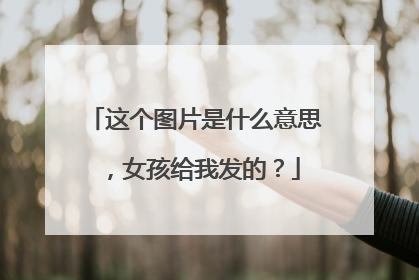 这个图片是什么意思,女孩给我发的?