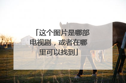 这个图片是哪部电视剧，或者在哪里可以找到