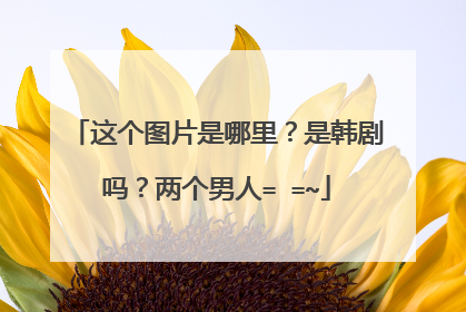 这个图片是哪里?是韩剧吗?两个男人= =~
