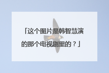 这个图片是韩智慧演的那个电视剧里的?