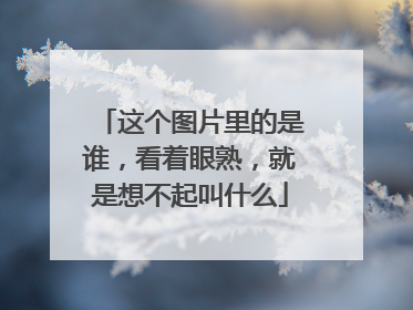这个图片里的是谁,看着眼熟,就是想不起叫什么