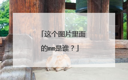 这个图片里面的mm是谁？