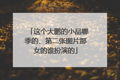 这个大鹏的小品哪季的、第二张图片那女的谁扮演的