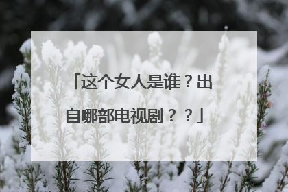 这个女人是谁？出自哪部电视剧？？