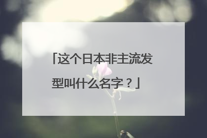 这个日本非主流发型叫什么名字?