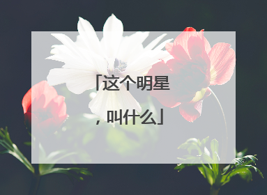 这个明星,叫什么