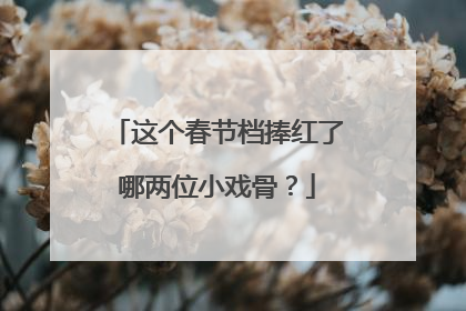 这个春节档捧红了哪两位小戏骨?