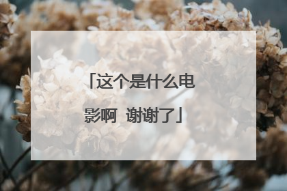 这个是什么电影啊 谢谢了