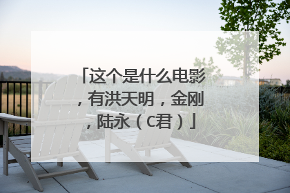 这个是什么电影,有洪天明,金刚,陆永(C君)