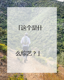 这个是什么综艺?