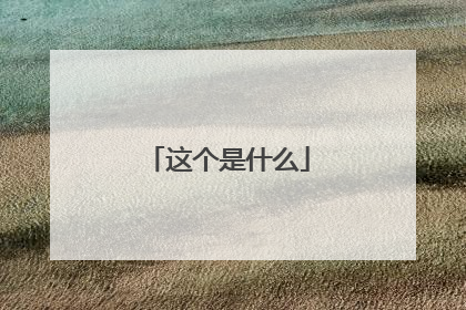 这个是什么