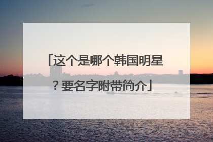 这个是哪个韩国明星？要名字附带简介