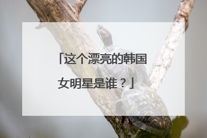 这个漂亮的韩国女明星是谁？