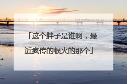 这个胖子是谁啊，最近疯传的很火的那个