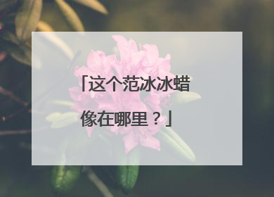 这个范冰冰蜡像在哪里?