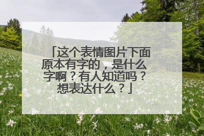 这个表情图片下面原本有字的,是什么字啊?有人知道吗?想表达什么?