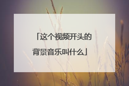这个视频开头的背景音乐叫什么