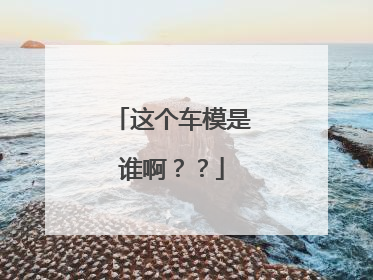这个车模是谁啊？？