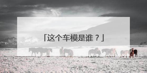 这个车模是谁?