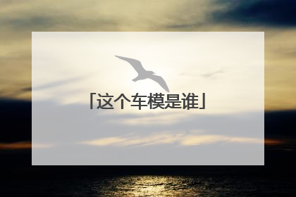 这个车模是谁