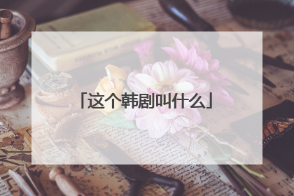 这个韩剧叫什么