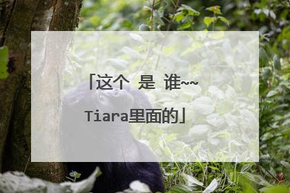 这个 是 谁~~Tiara里面的