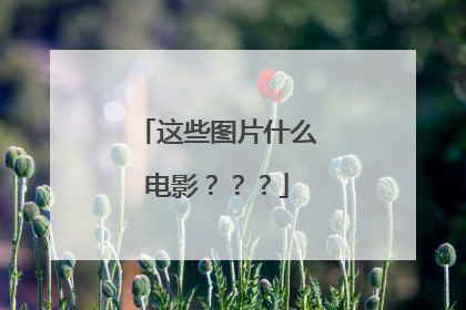 这些图片什么电影？？？