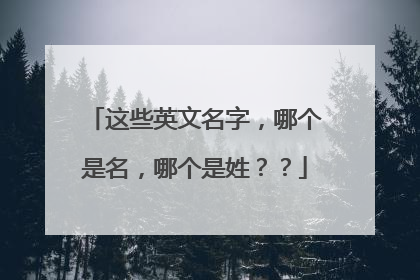 这些英文名字,哪个是名,哪个是姓??