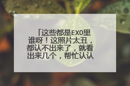 这些都是EXO里谁呀！这照片太丑，都认不出来了，就看出来几个，帮忙认认咩，各位大神!