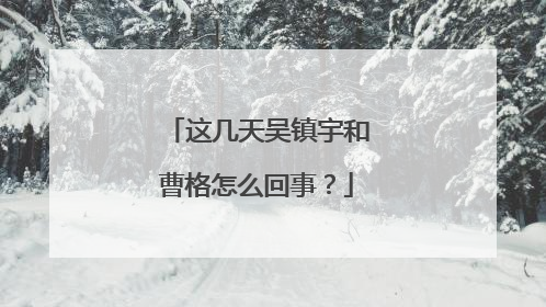 这几天吴镇宇和曹格怎么回事？