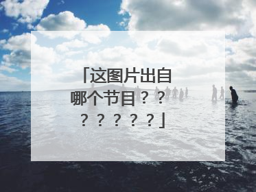 这图片出自哪个节目???????