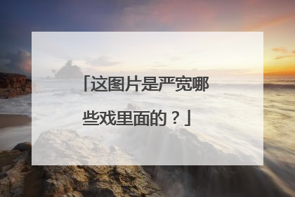 这图片是严宽哪些戏里面的？