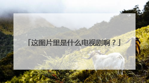 这图片里是什么电视剧啊？